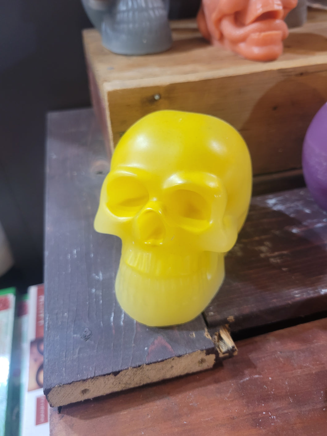 Assorted Skulls