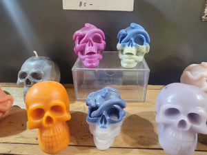 Assorted Skulls