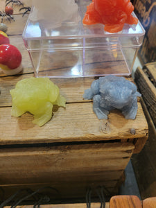 Toads