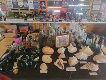Load image into Gallery viewer, Store Pictures Updated March 14/26
